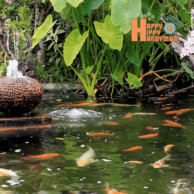 Custom projects: A tranquil koi pond nestled in a landscaped garden, featuring gently flowing water and vibrant aquatic life